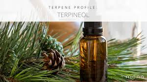 Terpineol, for Color Solvent, Commercial, Soap Perfume