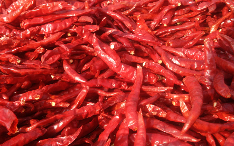 Dry red chilli