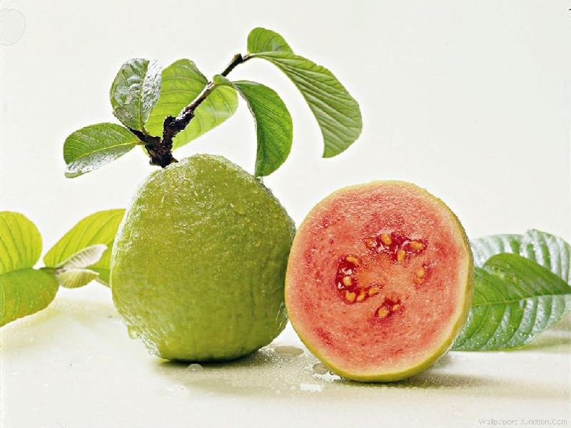 Common Korean Guava, Color : Green