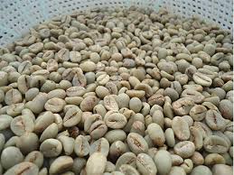 Green Coffee - Robusta Beans ( Washed )