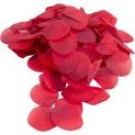 rose petals