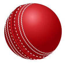 Cosco Plain Leather cricket ball, Size : Standard