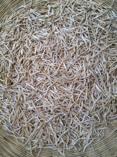 Organic Dried Shatavari Roots, for Medical, Personal Use, Packaging Type : Bag
