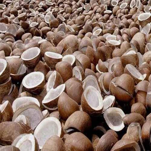 Hard Organic Coconut Copra, for Medicines, Pooja, Color : Brown
