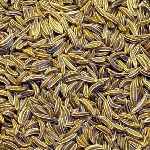 Cumin seeds, for Cooking, Style : Natural