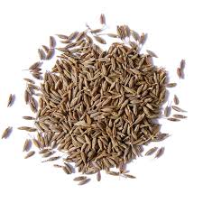 cumin seed