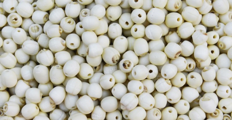 Lotus seeds, Purity : 99.9%