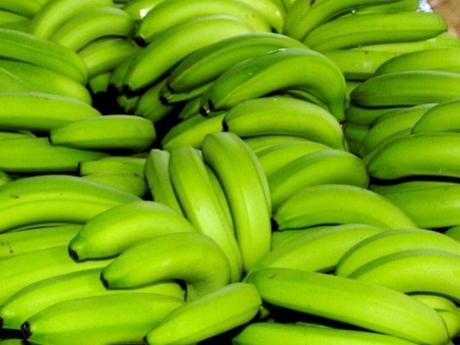 Organic fresh green banana, Feature : Healthy Nutritious