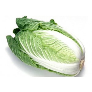 Chinese Cabbage, Shelf Life : 0-5days