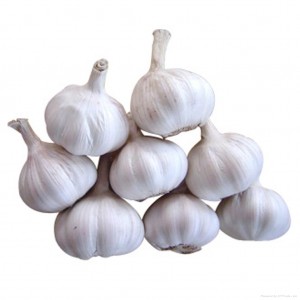 Chinese Garlic, Size : 4.5cm-5 cm 5.5cm-6.0cm
