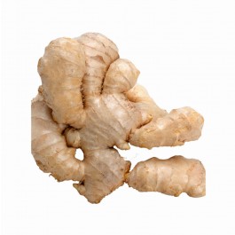 Organic Fresh Ginger, for Cooking, Cosmetic Products, Medicine, Packaging Size : 20kg