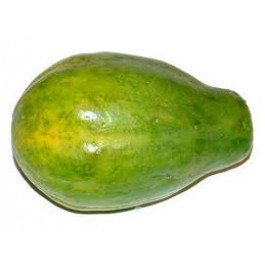 Organic Fresh Green Papaya, Feature : Good Supplying Of Vitamins