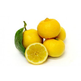 fresh Lemon