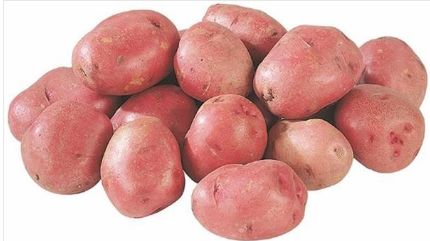 Organic Fresh Red Potato, for Cooking, In making chips, in curries, etc, Packaging Size : 10-20kg