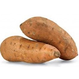 Fresh Sweet Potato, Feature : Good For Health, Good In Taste