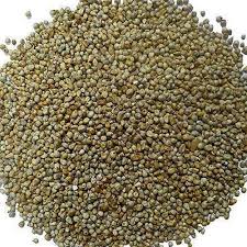 Dried Pearl Millet Seeds