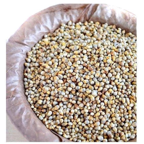 Natural Pearl Millet Seeds