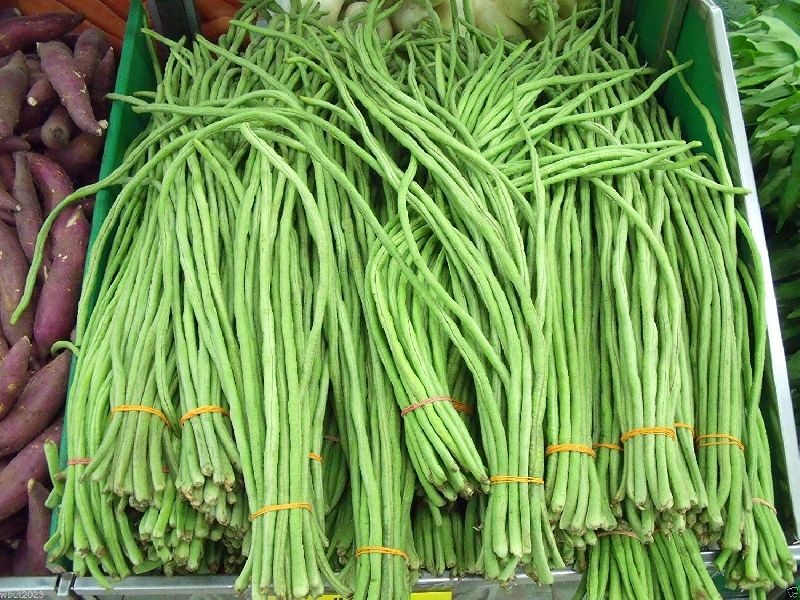 Asparagus Bean
