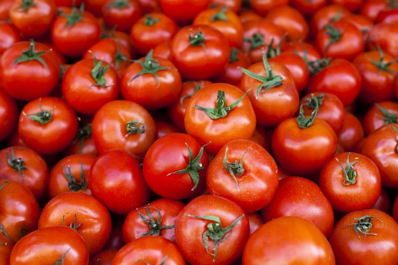 Fresh Solanum Lycopersicum