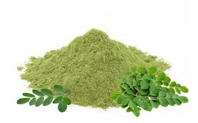 Natural Moringa Powder, for Cosmetics, Medicines Products, Style : Dried