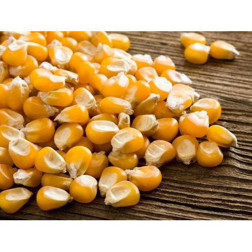 Whole Yellow Maize, for Animal Feed, Human Consumption