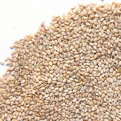 Organic Dried Sesame Seeds, for Agricultural, Making Oil, Packaging Type : Pastic Packet