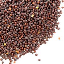 Brown Mustard Seeds, Form : Solid