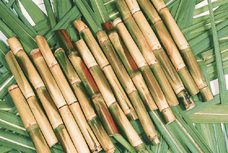 Fresh sugarcane, Shelf Life : 0-6 Month, 6-12Month