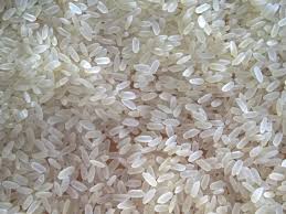 Organic Sharbati Non Basmati Rice, for Gluten Free, High In Protein, Style : Dried