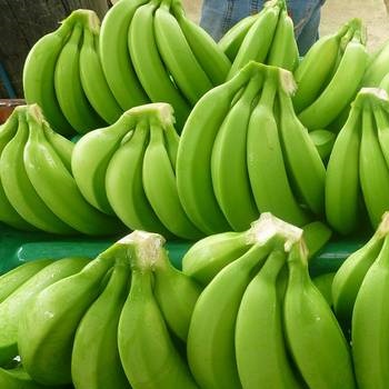 Organic Fresh Green Banana