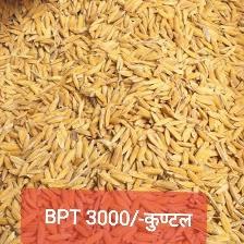 Soft Common BPT Rice, for Cooking, Packaging Type : Jute Bags