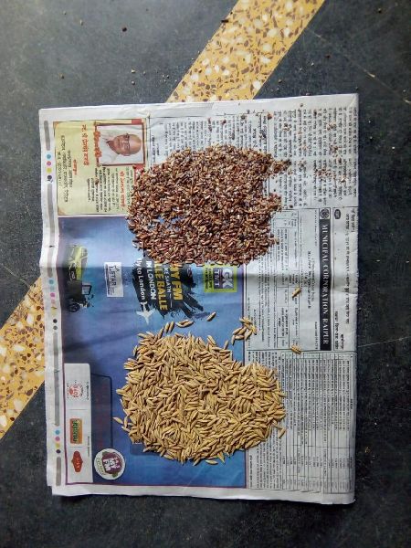 Soft Common Non Basmati Brown Rice, Packaging Type : Jute Bags