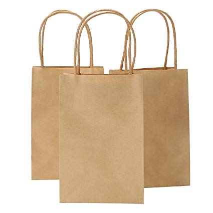 Plain Biodegradable Paper Bags, Feature : Easy to carry, Tear resistance