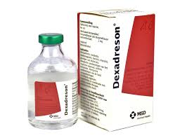 Dexadreson hond/kat 2 mg/ml 50 ml