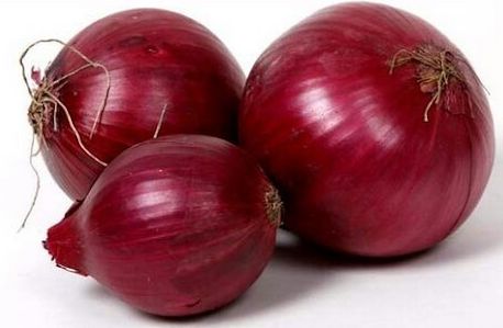 Organic Fresh Big Onion, For Human Consumption, Style : Natural