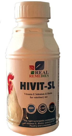 Hivit SL Veterinary Medicines