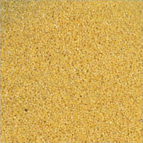 Natural Millet Seeds, for Cattle Feed, Cooking