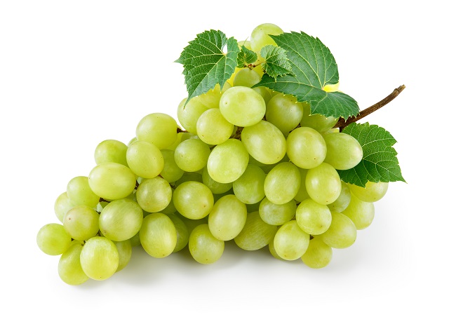 Organic fresh grapes, Shelf Life : 7-10days