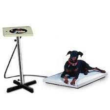 10-20kg Animal Weighing Scales, Feature : Durable, High Accuracy, Stable Performance