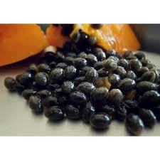 Papaya Seeds, Packaging Size : 10 Kg, 100- 150 Kgs, 5 Kg