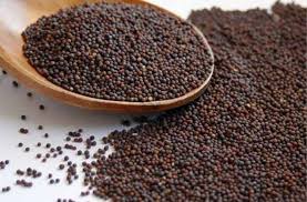 Brown Mustard Seeds, Packaging Type : Plastic Bag