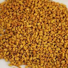 Organic Sortex Fenugreek Seeds, Packaging Type : Plastic Packets