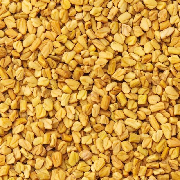 Natural fenugreek, Certification : FDA Certified, FSSAI