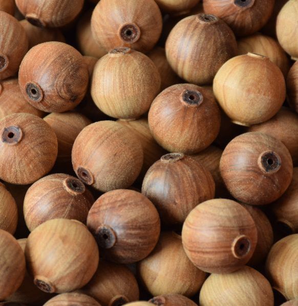 White Sandalwood Loose Beads