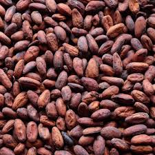 Cocoa Beans, for Bakery Products, Cosmetics, Packaging Type : 10kg, 15kg, 1kg, 20kg, 5kg