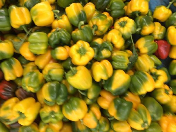 fresh capsicum