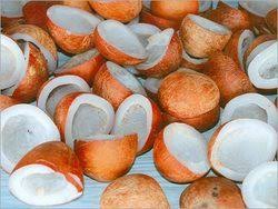 Soft Common Coconut Copra, For Cosmetics, Medicines, Pooja, Form : Solid