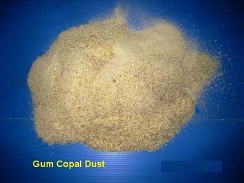 Gum Copal Dust