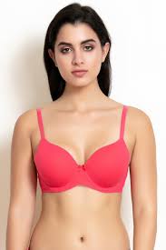 Checked Adhesive T-Shirt Bras, Size : 28, 30, 32, 34, 36, 38, 40