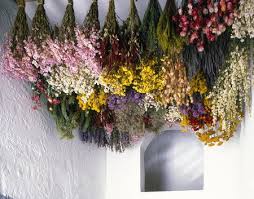 Common Dry Flowers, for Decorative, Garlands, Vase Displays, Occasion : Birthday, Party, Weddings